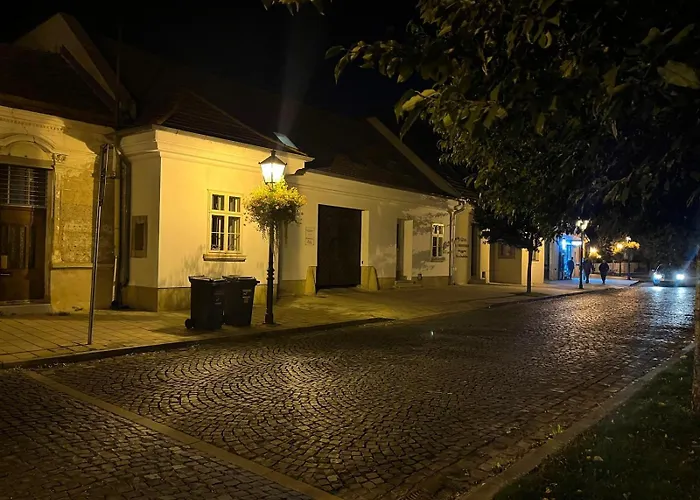 Main Square Grey Studio With Parking *